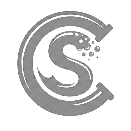 Logo C&S Express